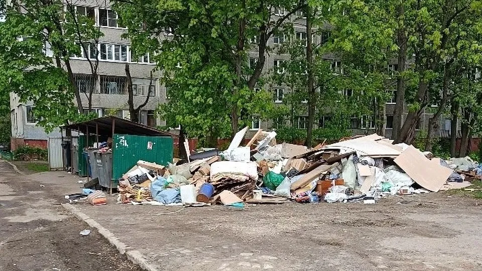 Фото: t.me/tipichniypodolsk