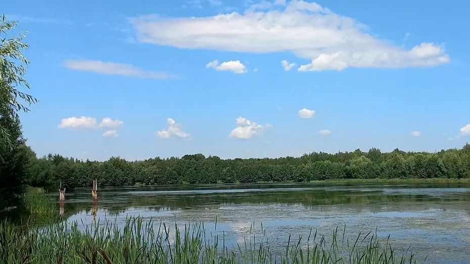 Фото: REGIONS/Олег Книжник. На фото: Юбилейный водоем в разгар пляжного сезона