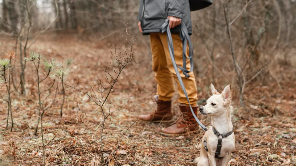 Фото: freepik.com