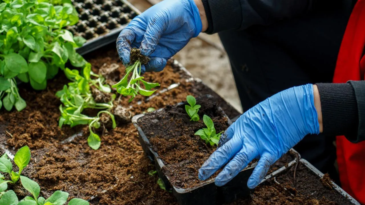 медиасток.рф