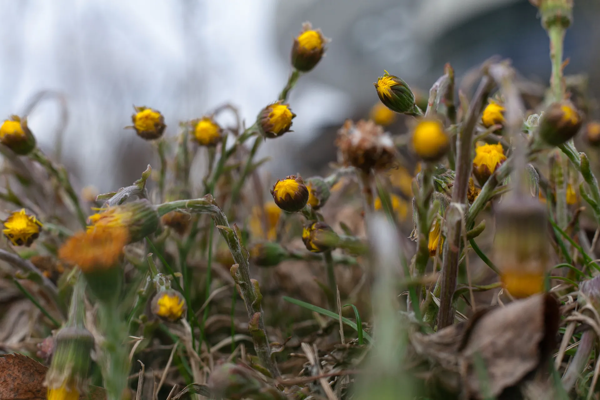 медиасток.рф