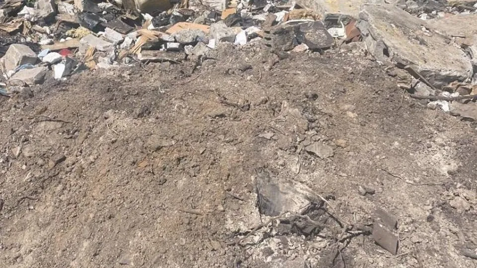 Фото: Министерство экологии и природопользования Московской области