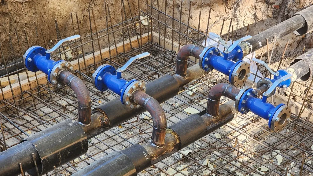 Фото: МедиаБанк Подмосковья/Дмитрий Беденко