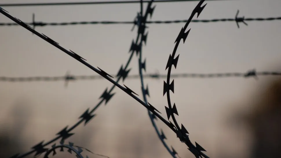 Фото: Pxhere.com