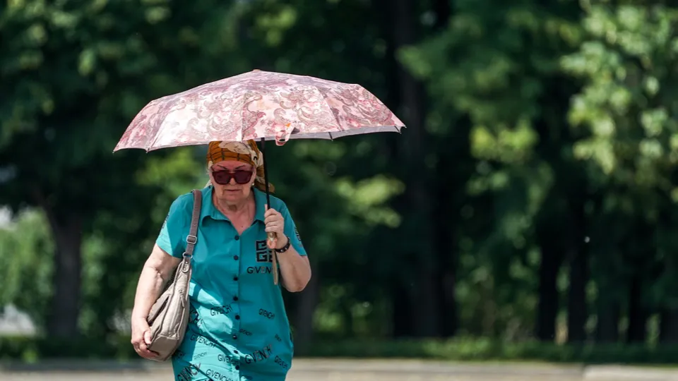 Фото: медиасток.рф