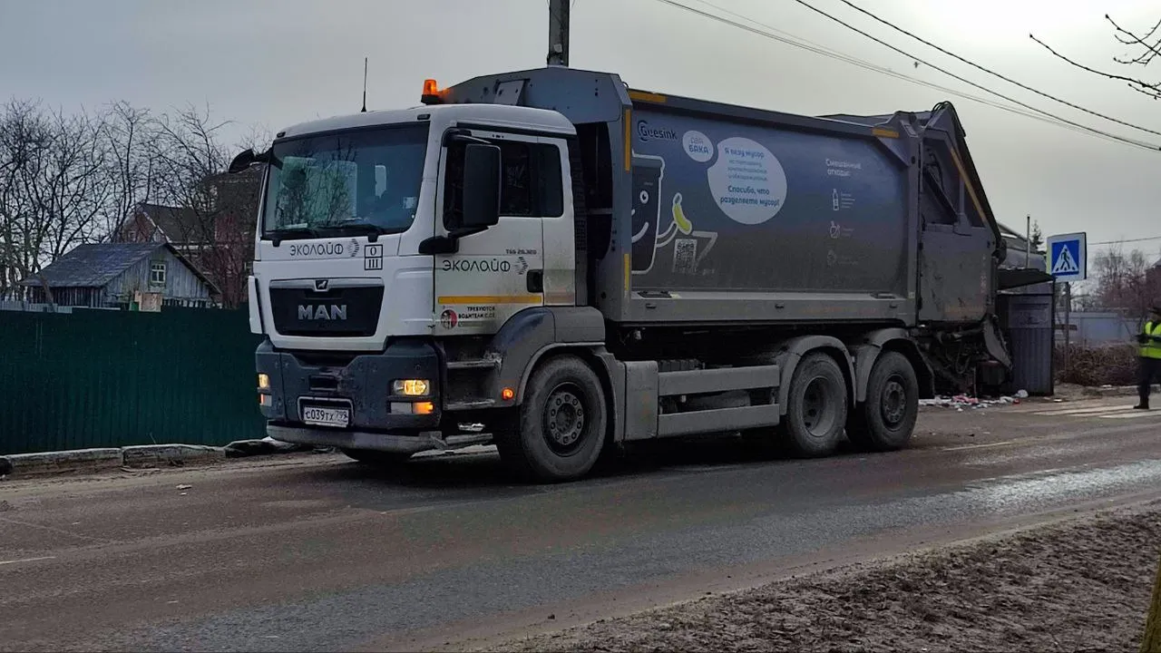 Фото: Елена Забелина