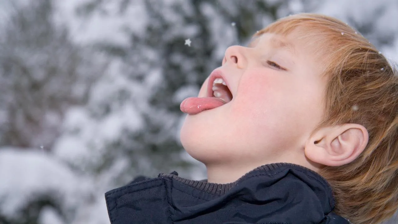 istockphoto.com/JHLloyd