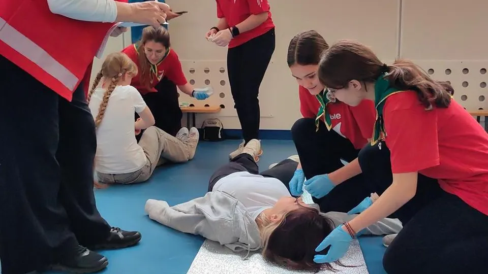 Елена Катасонова