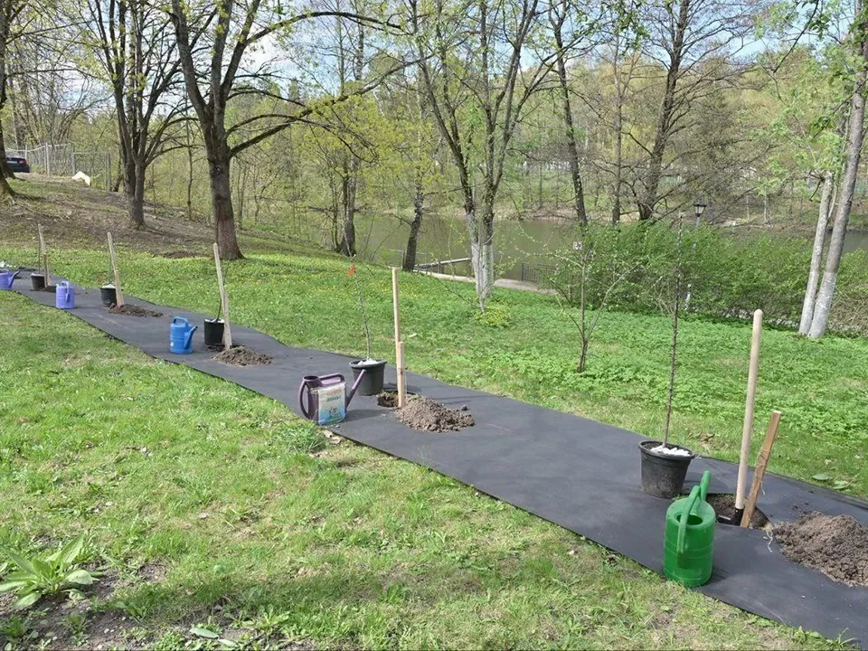 Фото: REGIONS/Елена Аботурова