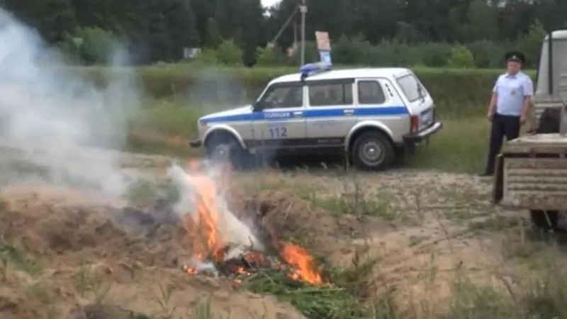 ГУ МВД по МО