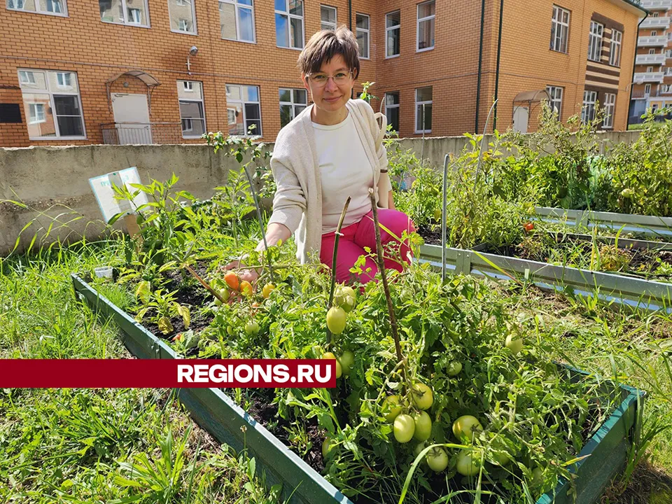 Фото: Екатерина Мелкозерова