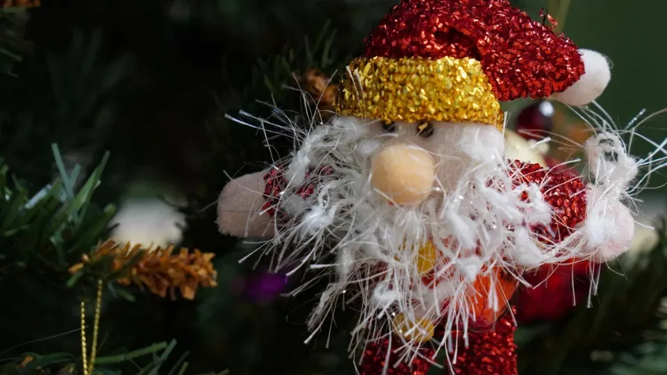 Фото: ОЭЗ «Дубна»