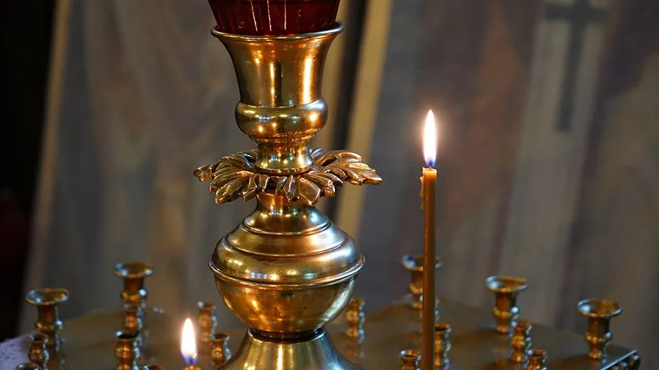 Фото: REGIONS/Анна Быкова