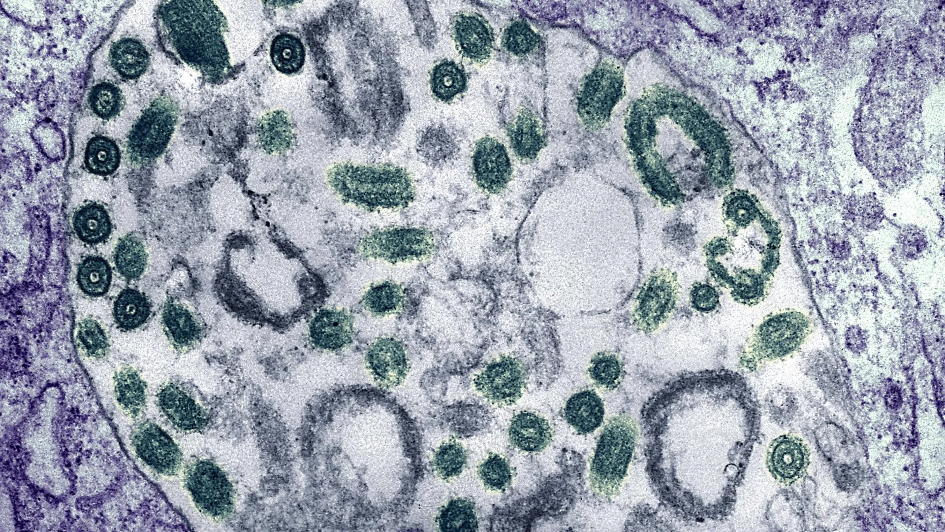 IMAGO/CDC / IMAGE POINT FR / BSI