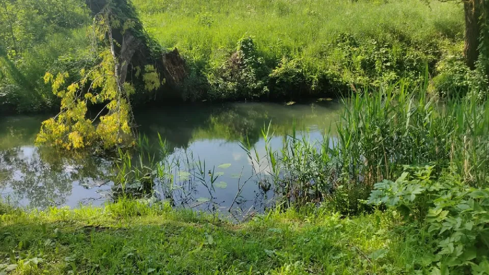 Фото: пресс-служба администрации м.о. Серебряные Пруды