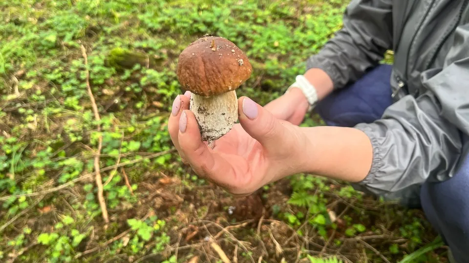 Фото: МедиаБанк Подмосковья/Елизавета Приймак