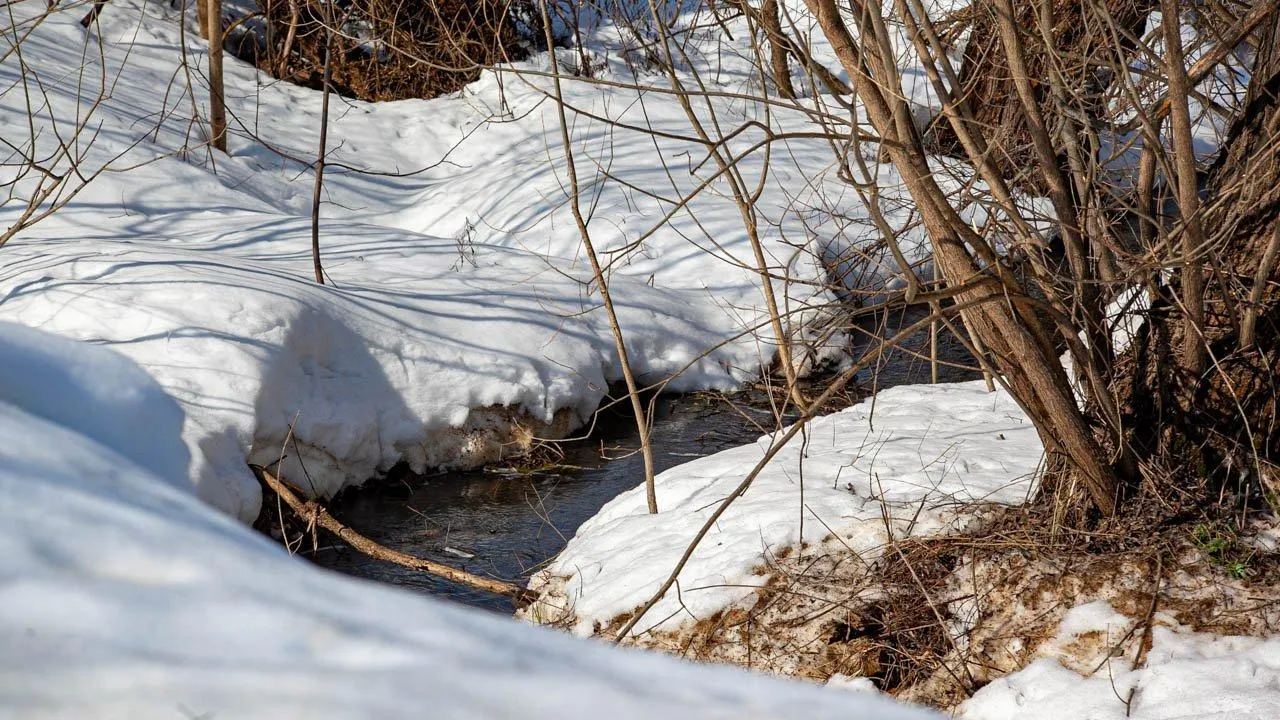 REGIONS/Дарина Левкина