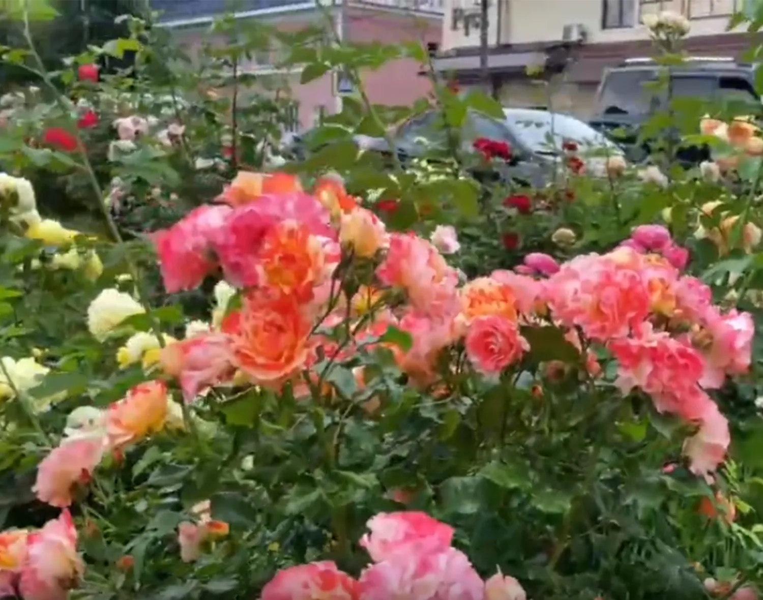 Фото: пресс-служба администрации м.о. Зарайск