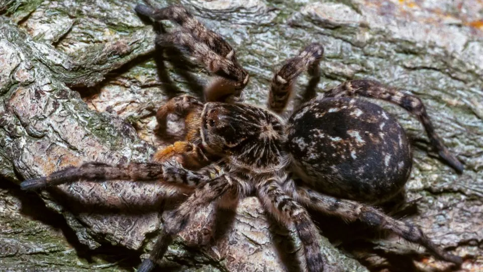 Фото: istockphoto.com/Oleg Kovtun