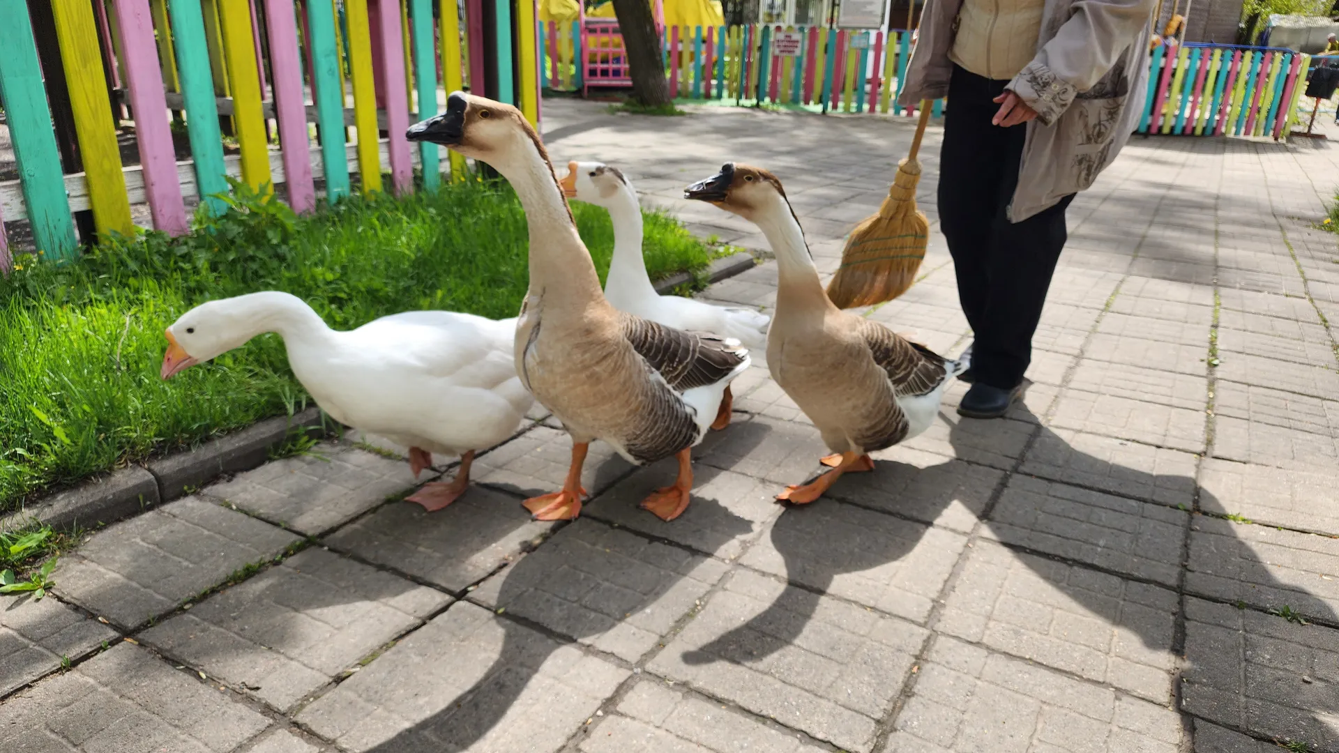 Фото: Елена Шумакова