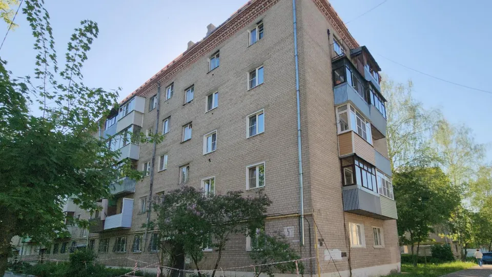 Алена Притула