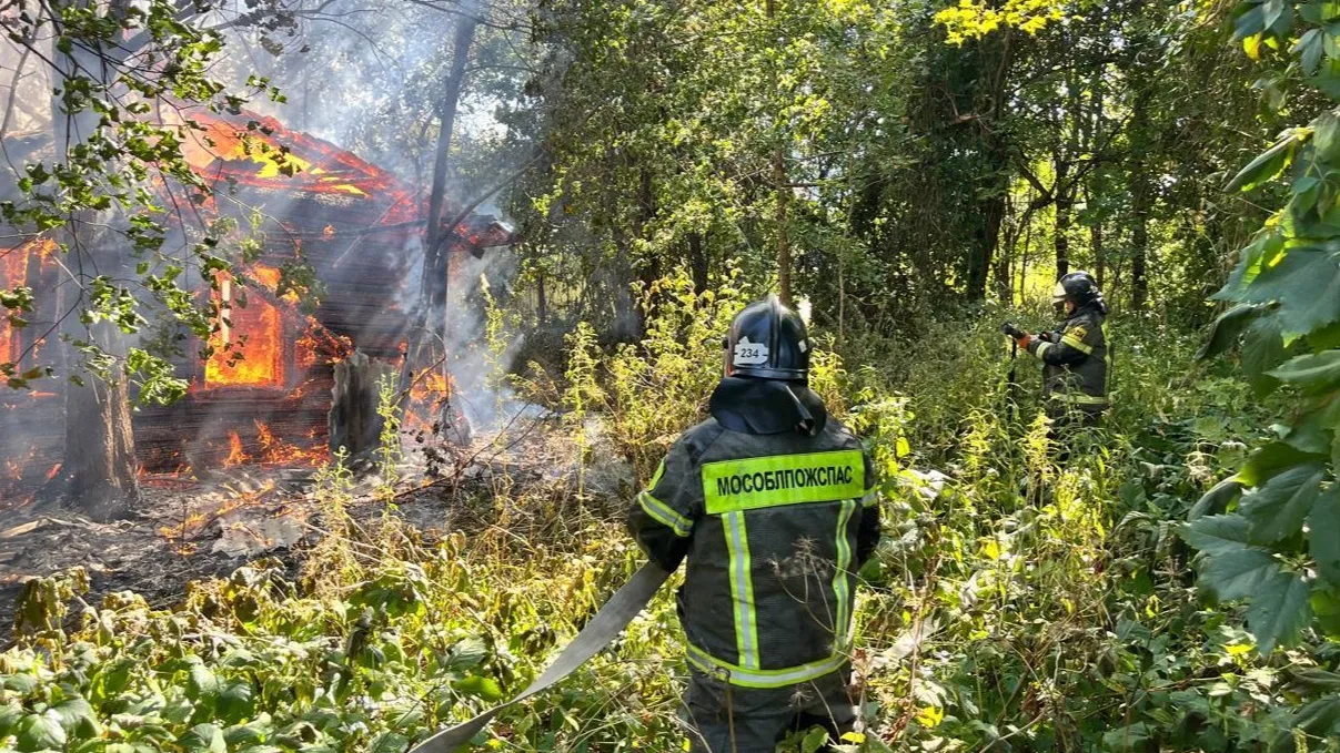 Фото: ГКУ МО «Мособлпожспас»