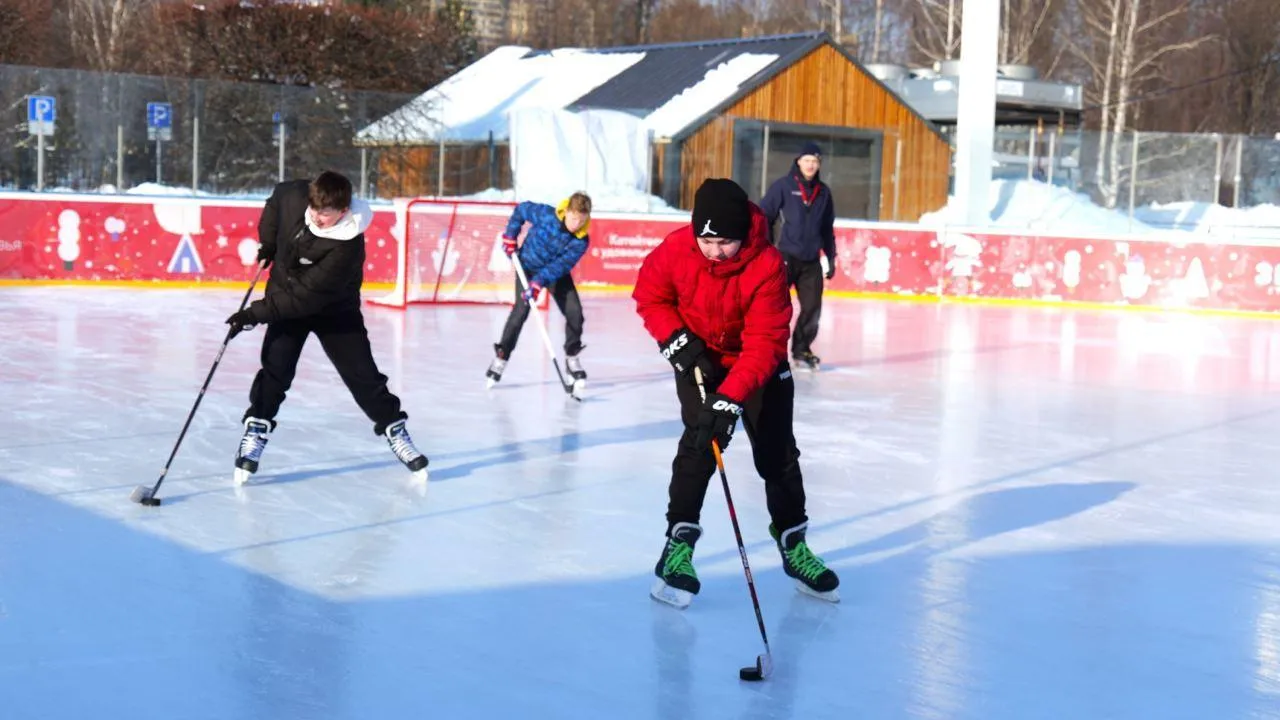 Фото: t.me/park_mytishchi