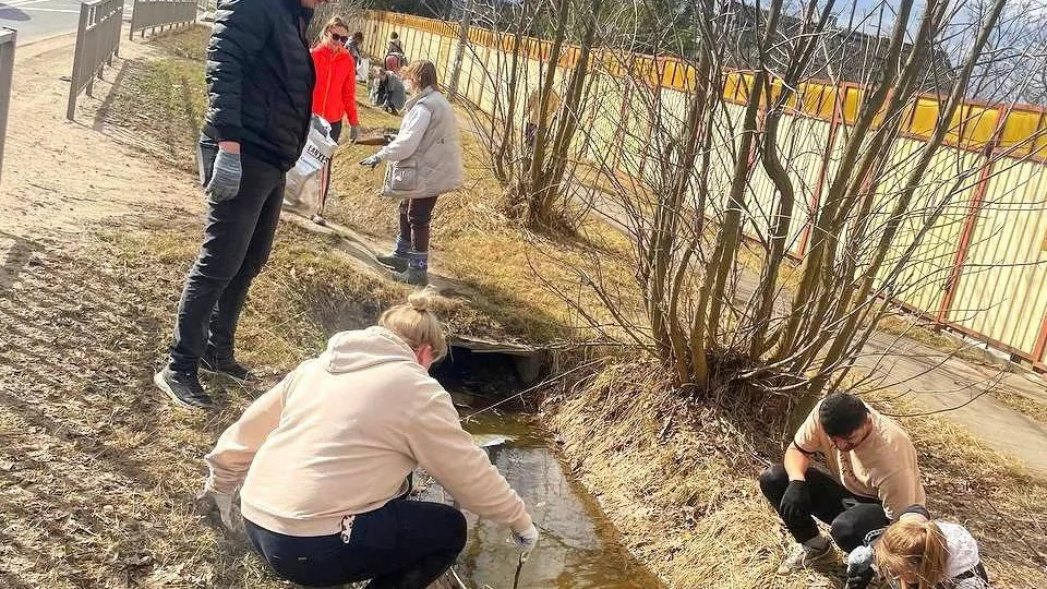 Фото: t.me/klintutnews