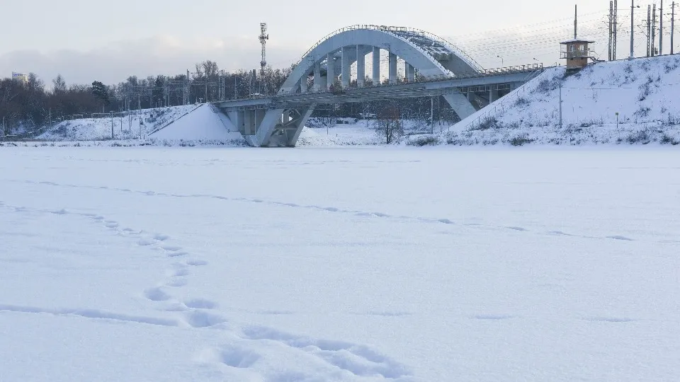 Фото: медиасток.рф