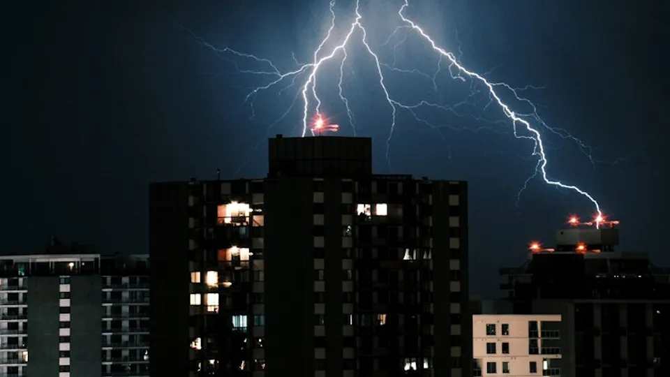 Фото: freepik.com