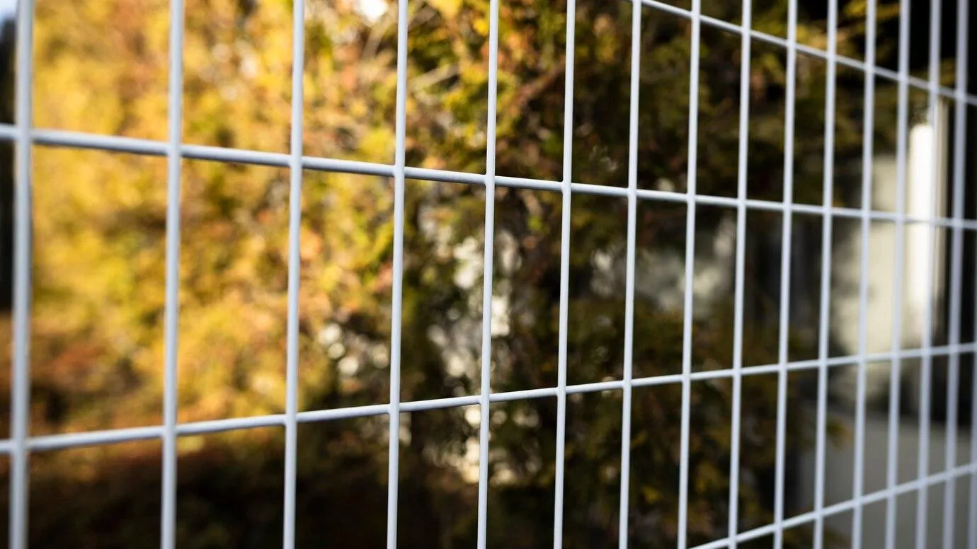 Фото взято с ru.freepik.com