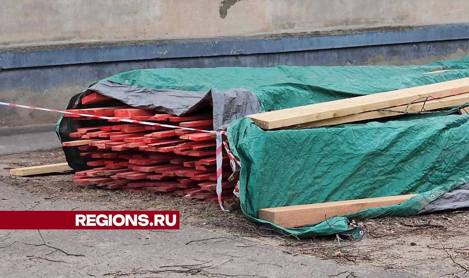 Фото: Марина Анисимова.