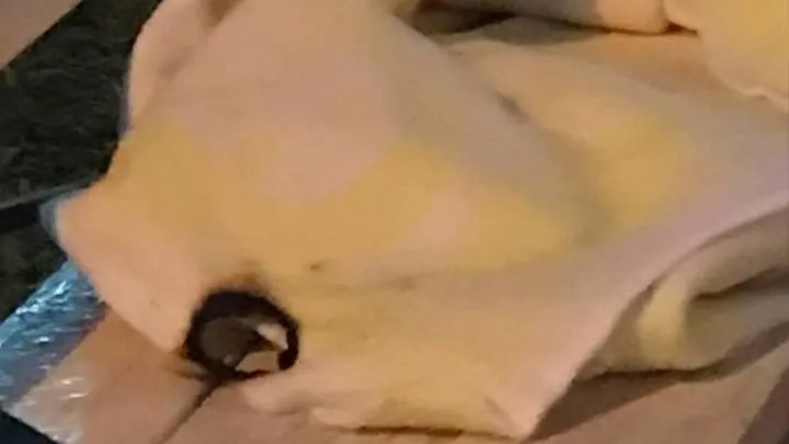 Фото: Telegram-канал «Балашиха рулит!»