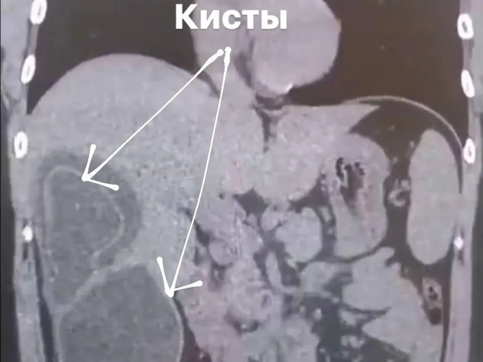 Фото:&nbsp;Министерство здравоохранения Московской области