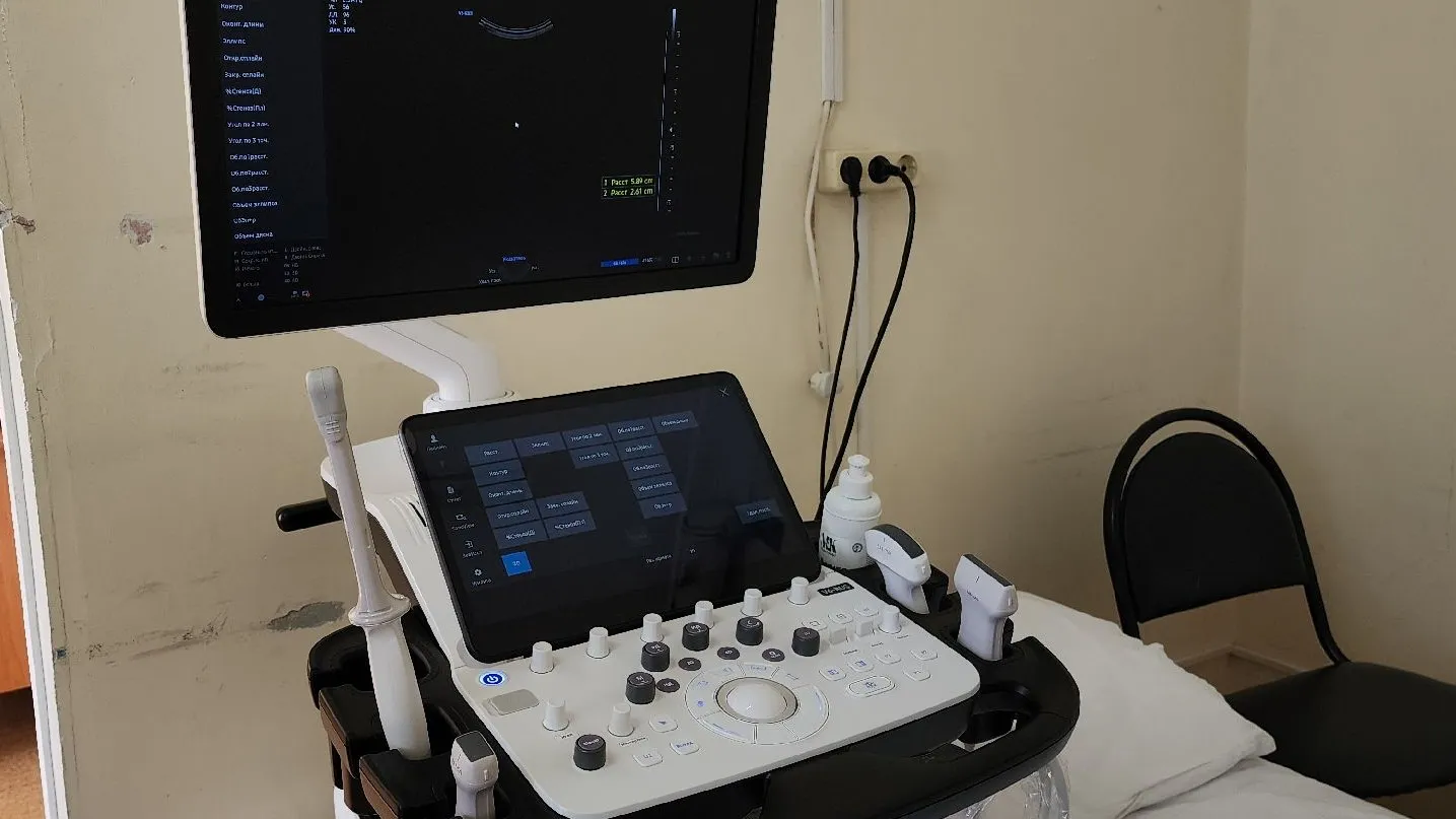 Фото: МедиаБанк Подмосковья/Ольга Фельдфебелева