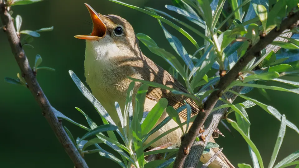 Фото: Сергей Брюшинин
