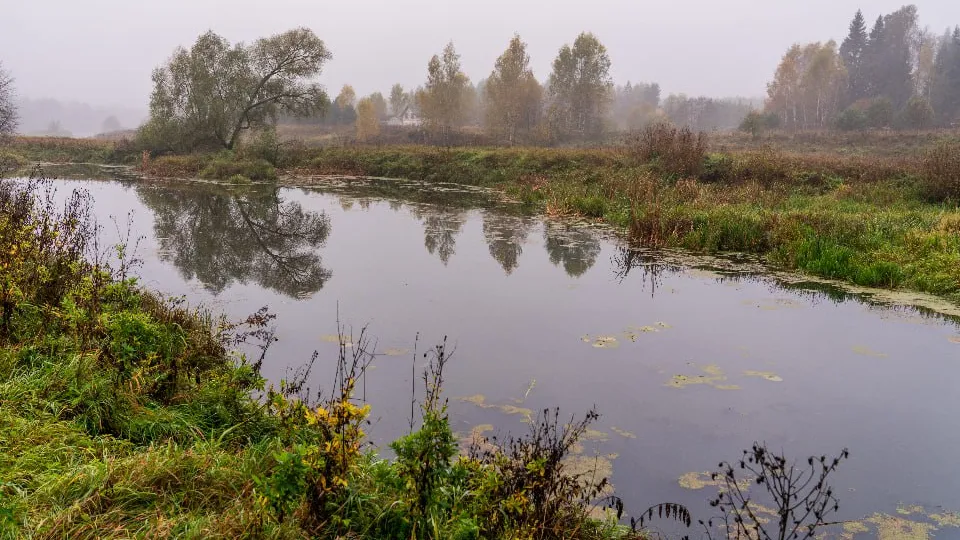 Фото: медиасток.рф
