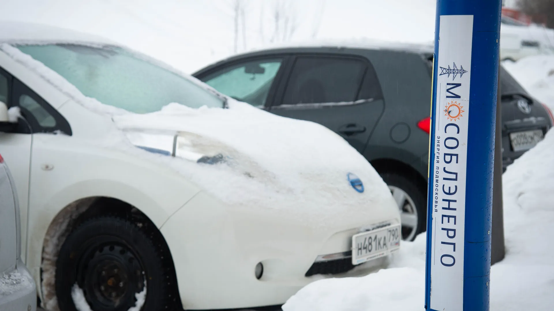 Фото: Нина Соколова