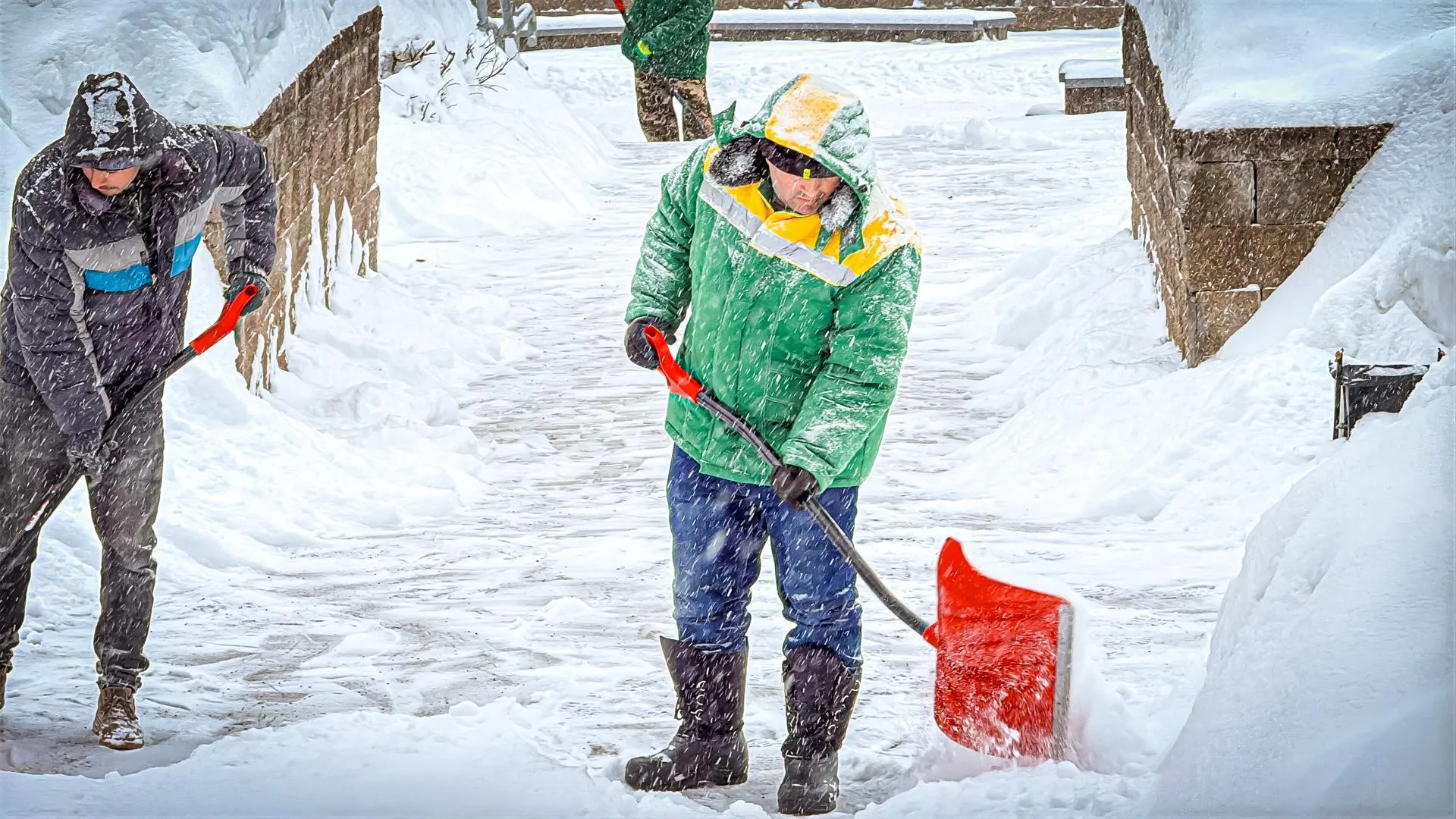 МедиаБанк Подмосковья/Данила Кирьянов