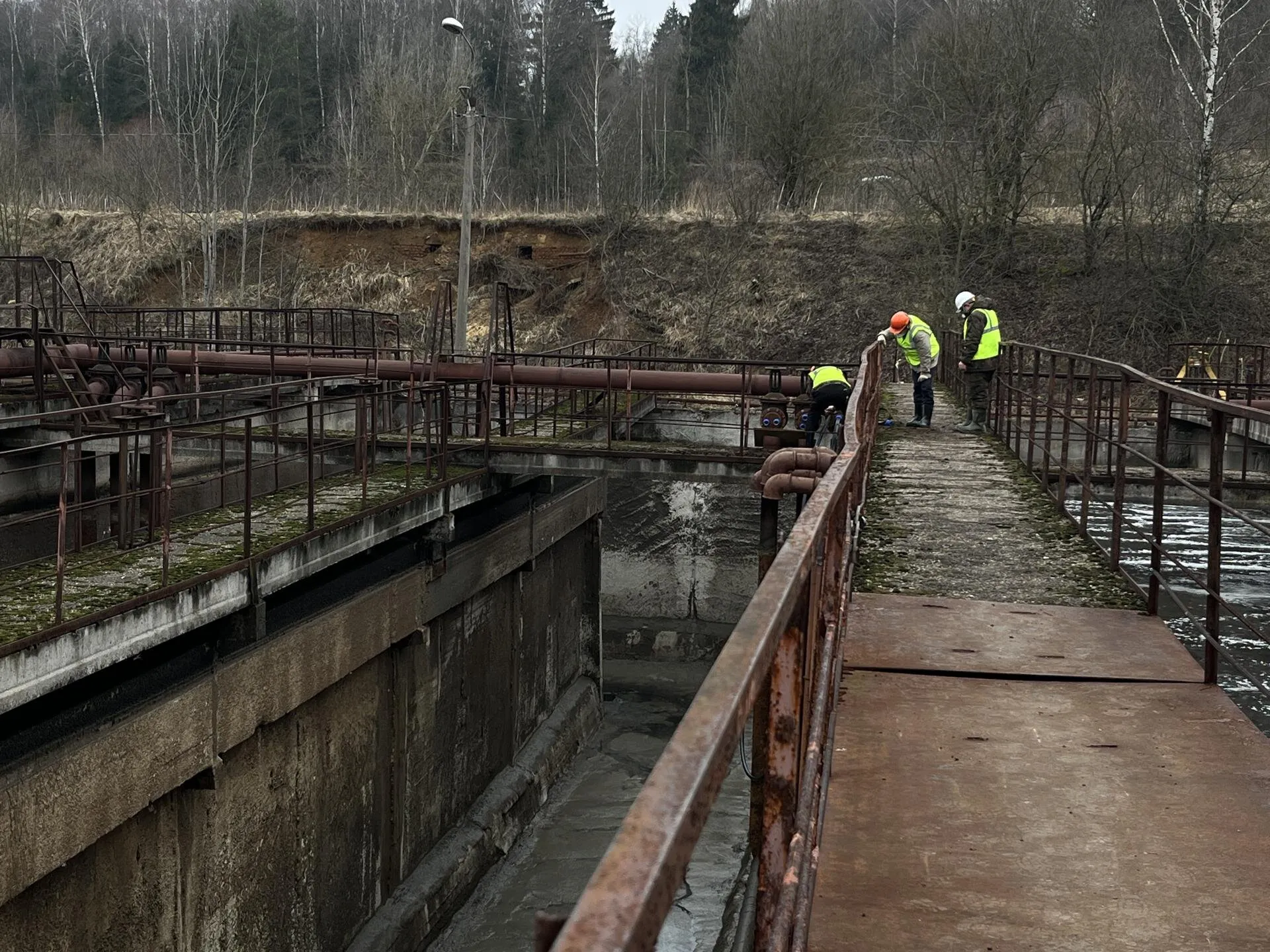 Фото: Анна Тюрюмина&nbsp; &nbsp; &nbsp; &nbsp; &nbsp;