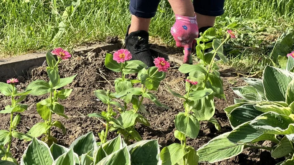 Фото: Татьяна Рунова