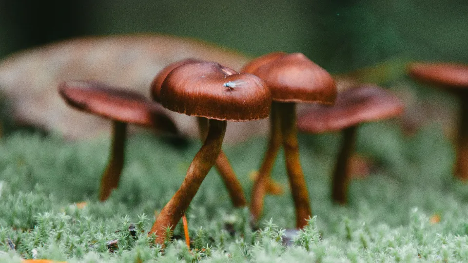 Фото: freepik.com