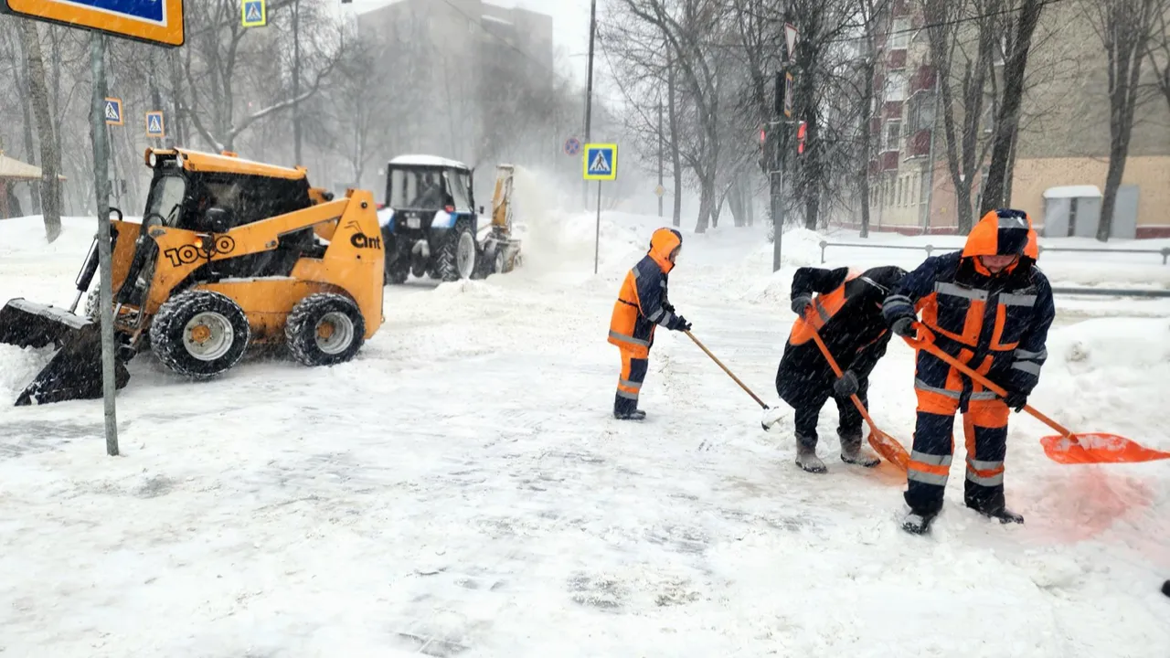 МедиаБанк Подмосковья/Мария Овчинникова