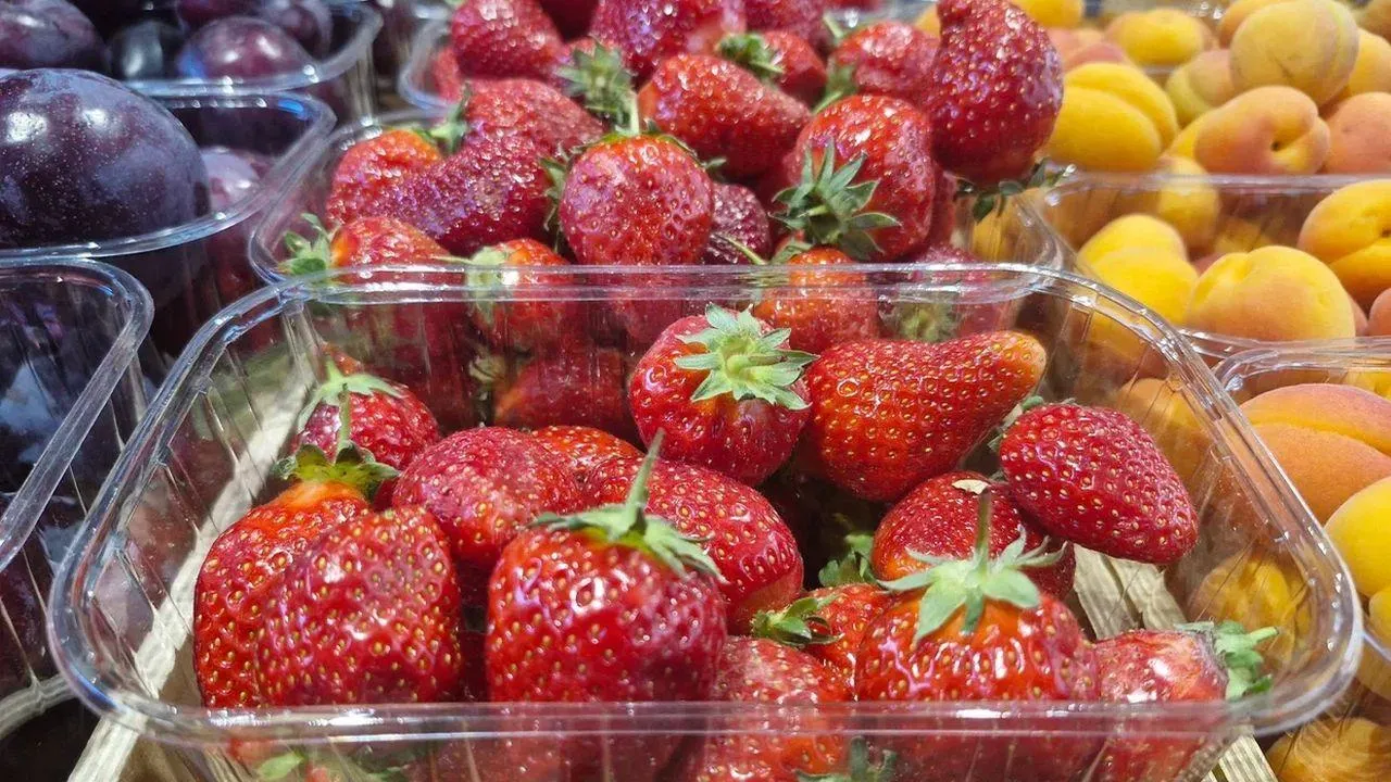 REGIONS/Наталья Надточая