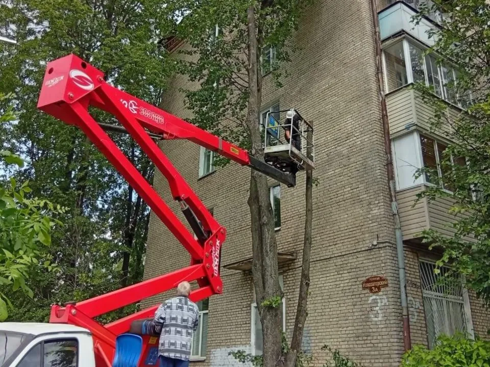 Фото: Министерство по содержанию территорий и государственному жилищному надзору