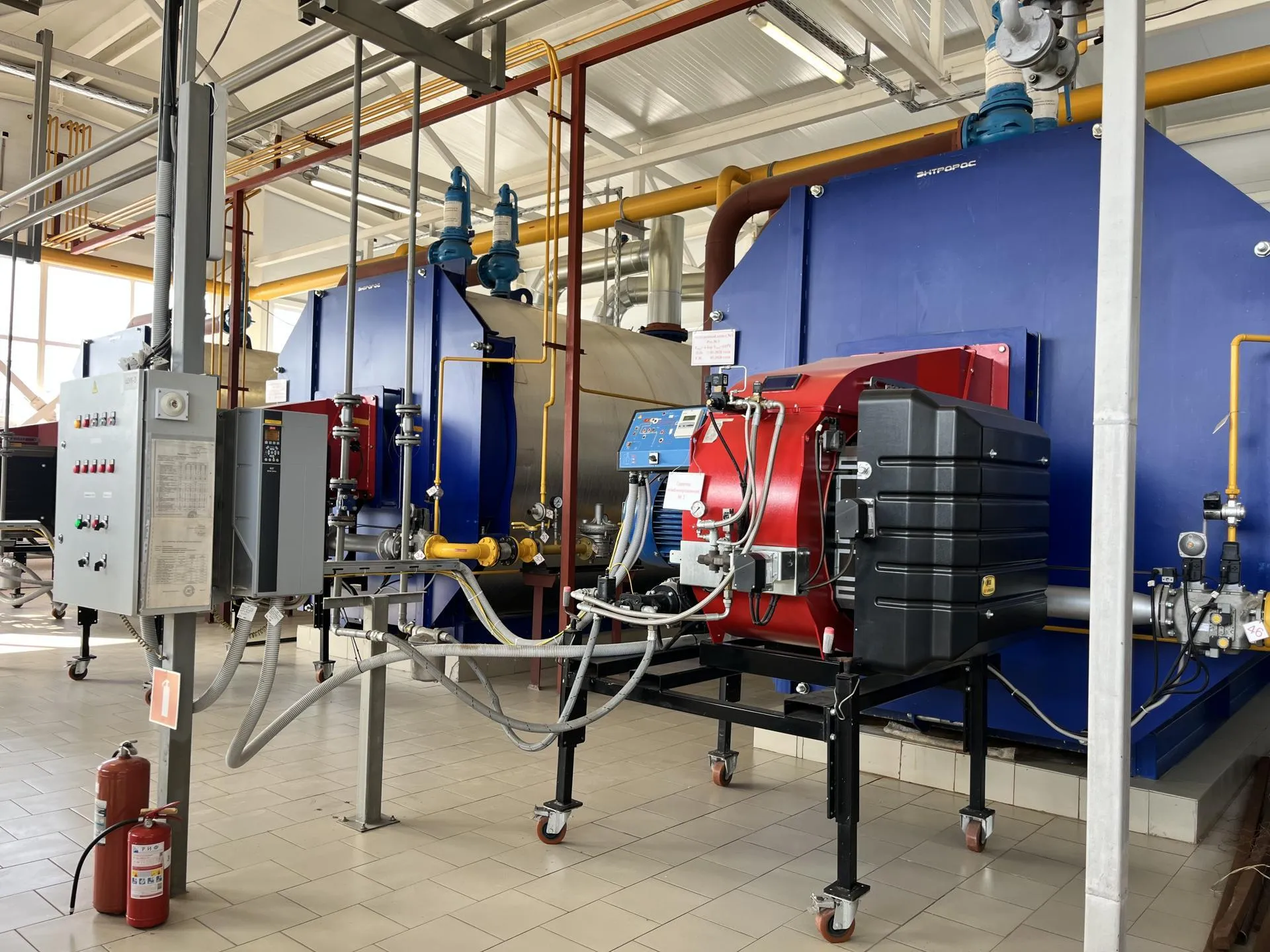 МедиаБанк Подмосковья/Ангелина Стельмух