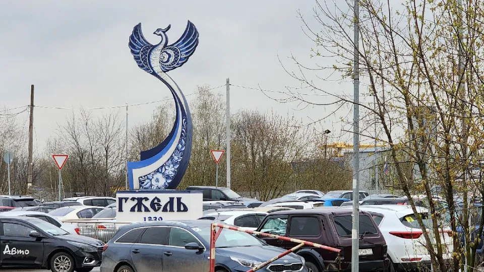 Фото: Медиабанк Подмсковья/Ирина Моисеева