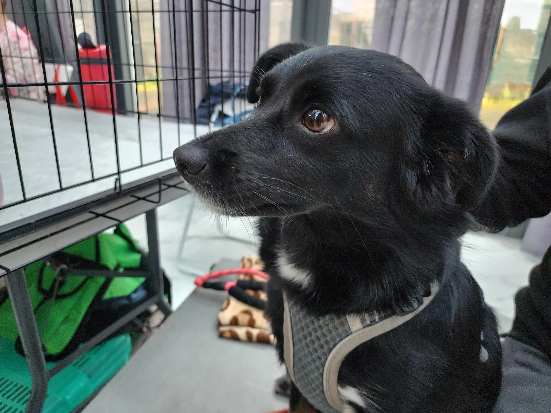 Фото: Анна Тюрюмина&nbsp; &nbsp; &nbsp; &nbsp; &nbsp;&nbsp;