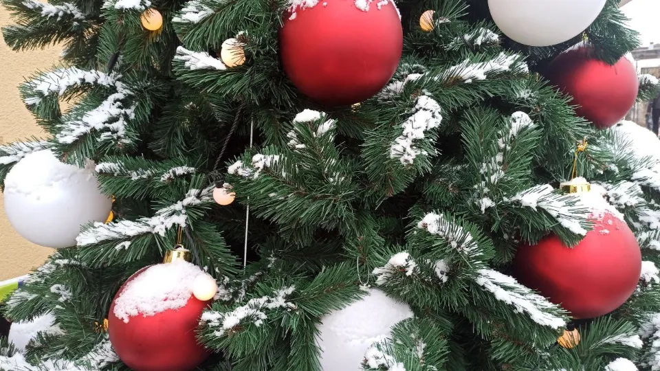 Фото: REGIONS/Ольга Пятикрестовская