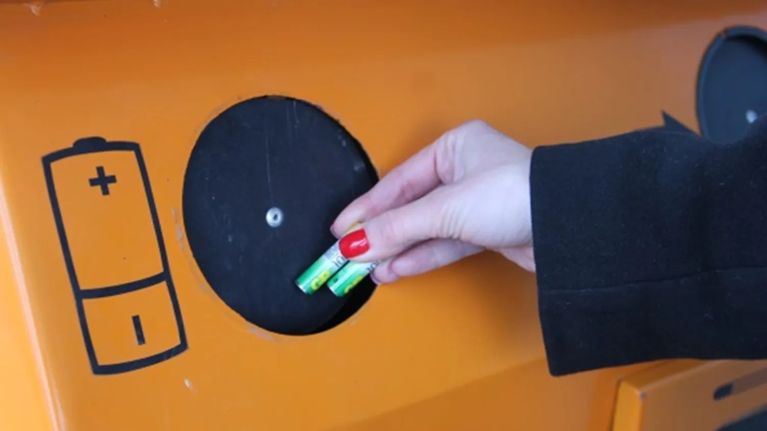 Фото: Дарья Кургузова